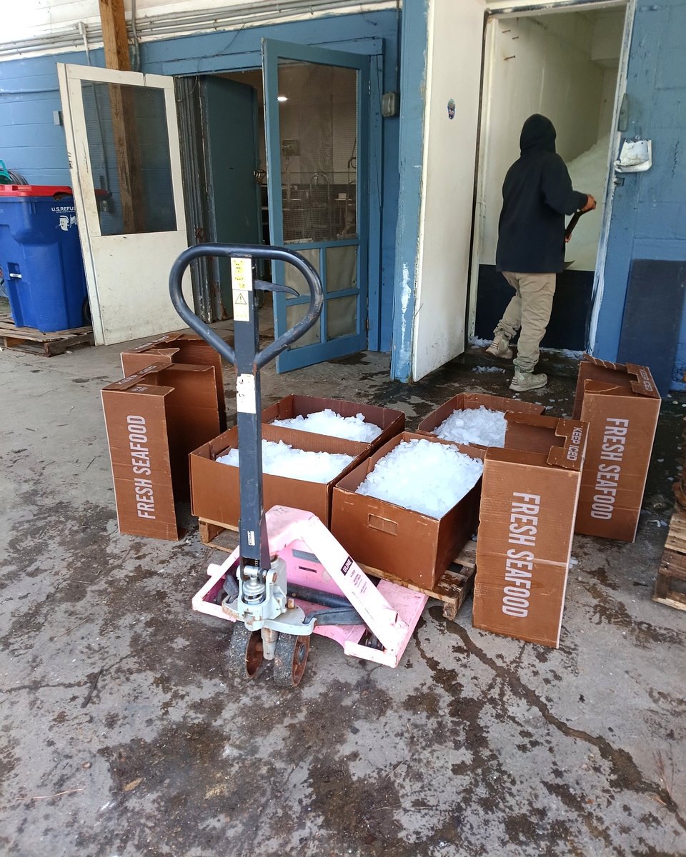 Seafood shipping cartons and ice staged beside a refrigerated storage room.